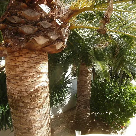 Con Jardin * Denia
